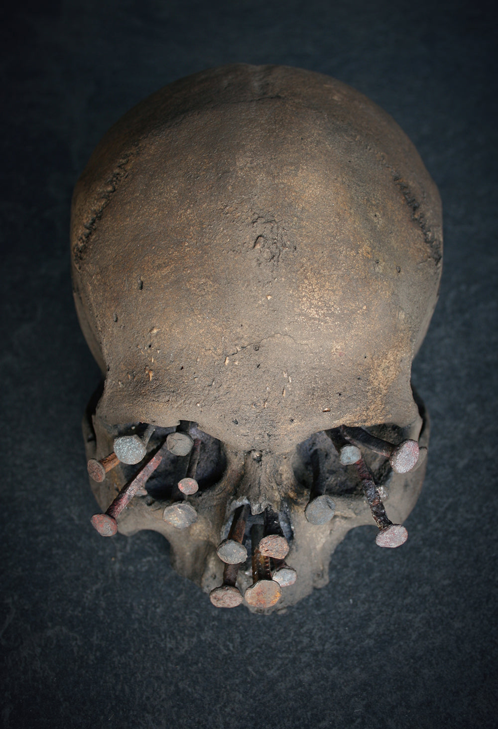 Skull mixed media sculpture "Iron-bound I" - SCULPTURE