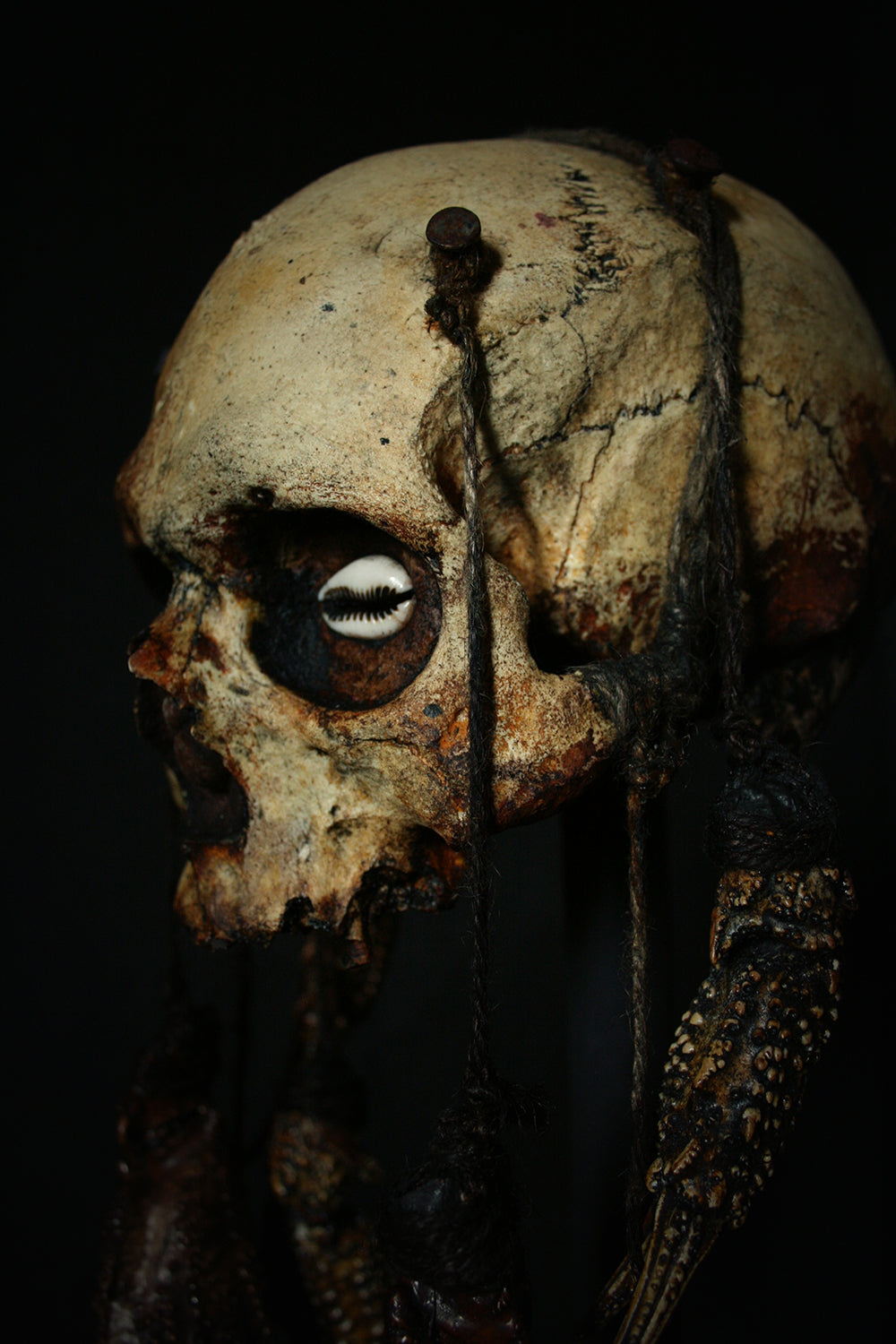 Skull mixed media sculpture "Crab God Natator" - SCULPTURE