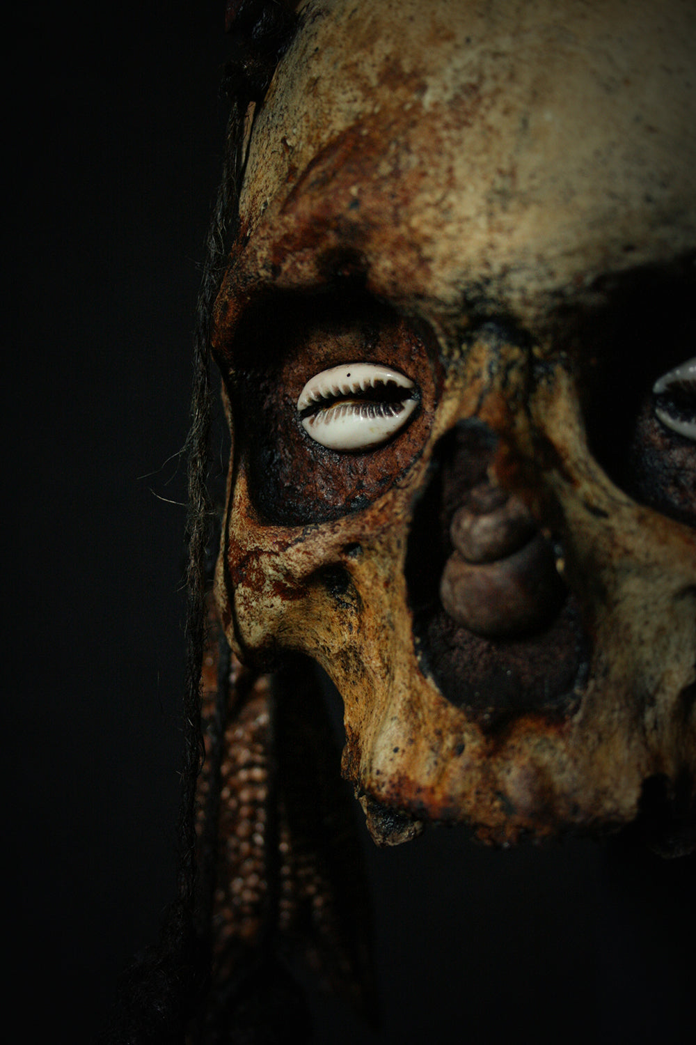 Skull mixed media sculpture "Crab God Natator" - SCULPTURE