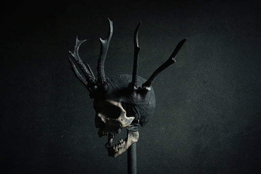 Skull mixed media sculpture "Shadow king Wrathr" - SCULPTURE