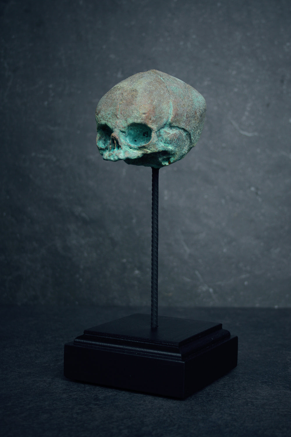 Sculpture "Fetal skull on piedestal" bronze patina version - mixed media sculpture