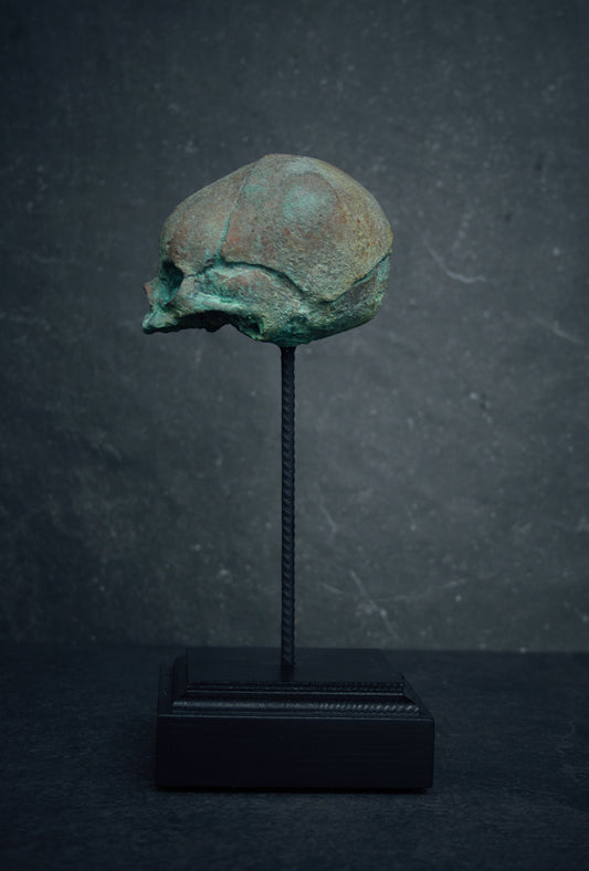 Sculpture "Fetal skull on piedestal" bronze patina version - mixed media sculpture