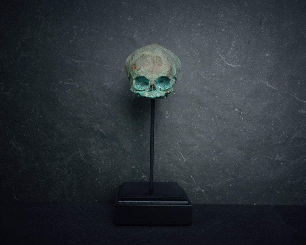 Sculpture "Fetal skull on piedestal" bronze patina version - mixed media sculpture