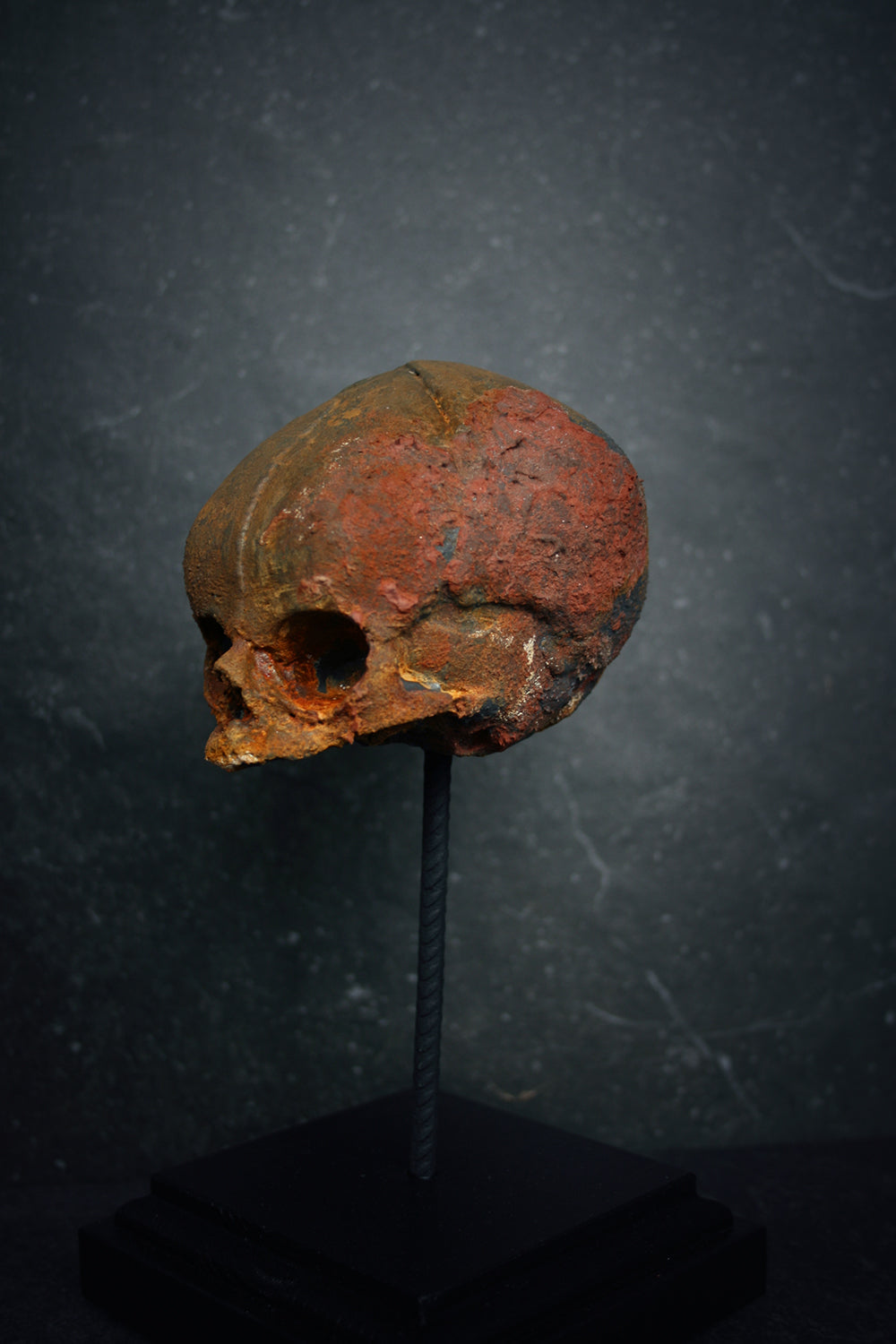 Sculpture "Fetal skull on piedestal" rust patina version - mixed media sculpture