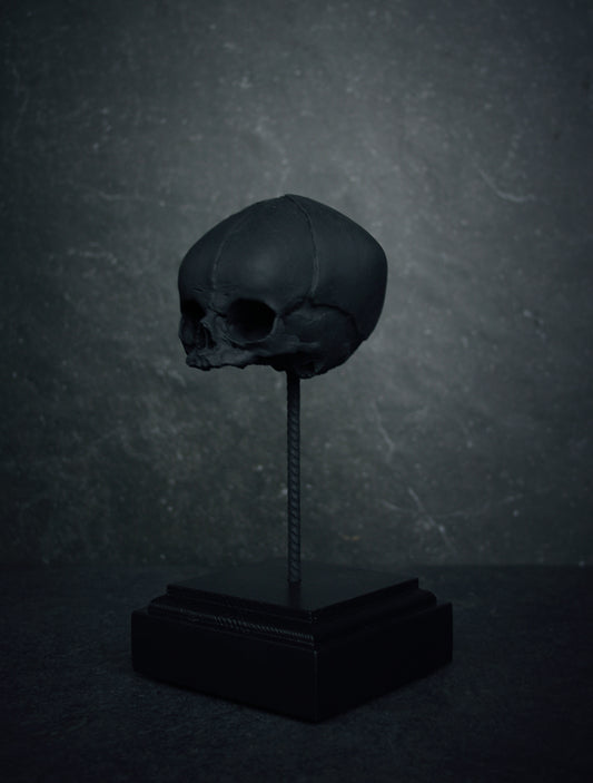 Sculpture "Fetal skull on piedestal" matte black patina version - mixed media sculpture