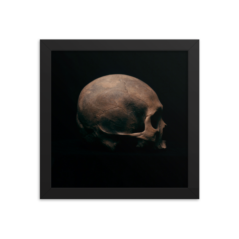 Side view right, real human skull photography - Square framed poster
