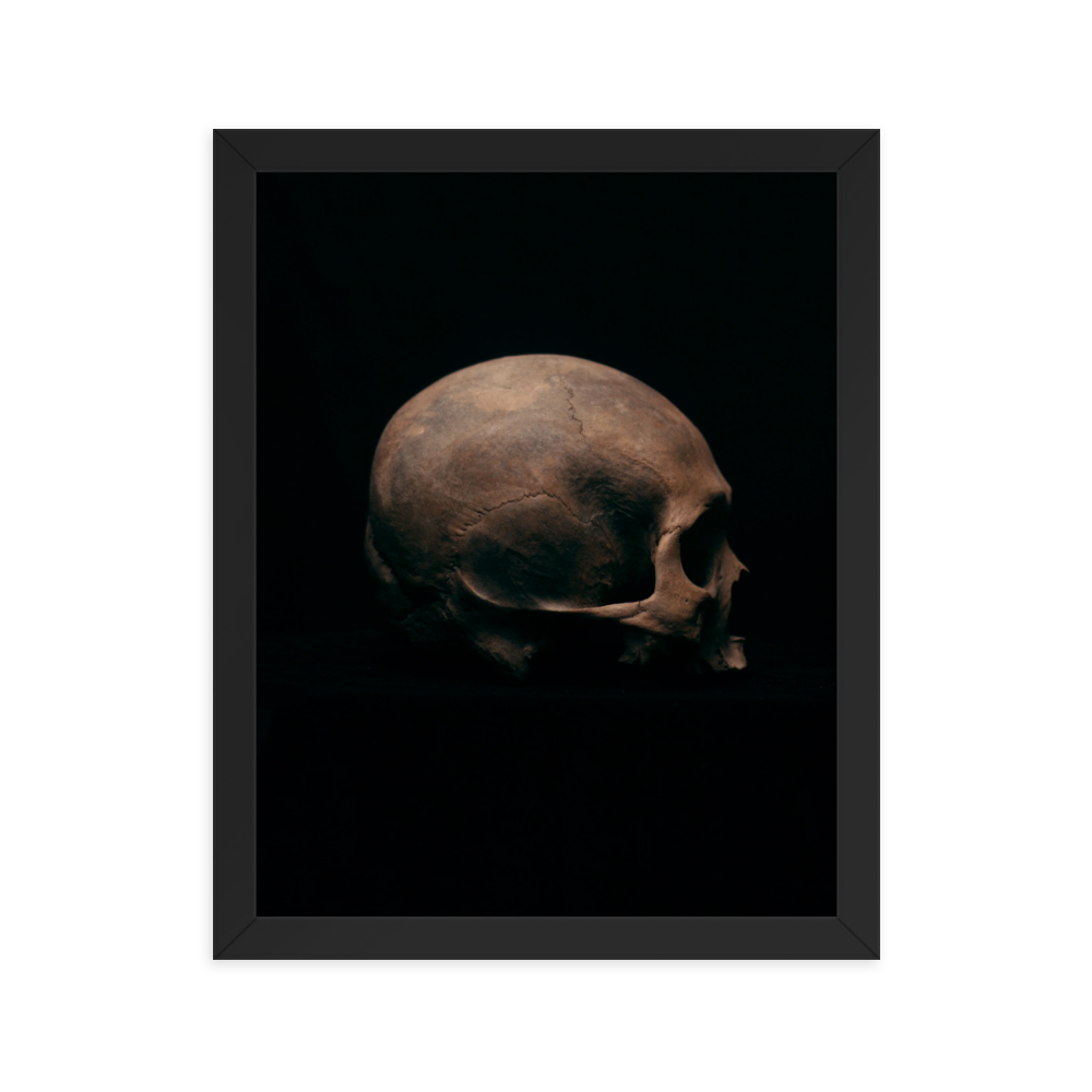 Side view right, real human skull photography - Framed poster