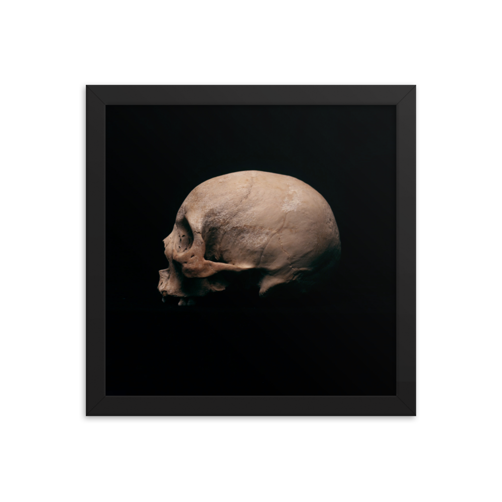 Side view left, real human skull photography - Square framed poster