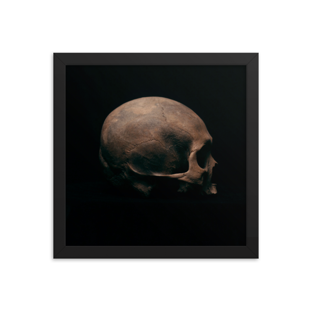 Side view right, real human skull photography - Square framed poster