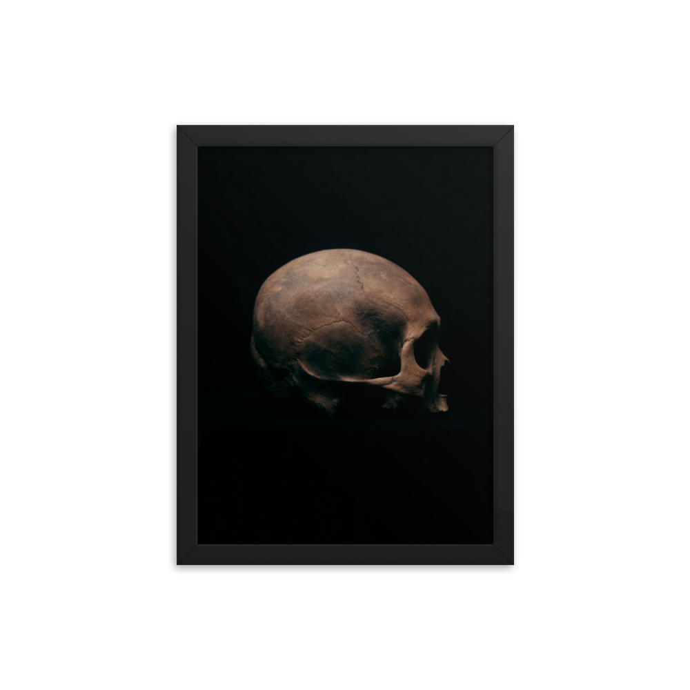Side view right, real human skull photography - Framed poster