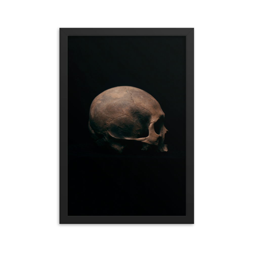 Side view right, real human skull photography - Framed poster