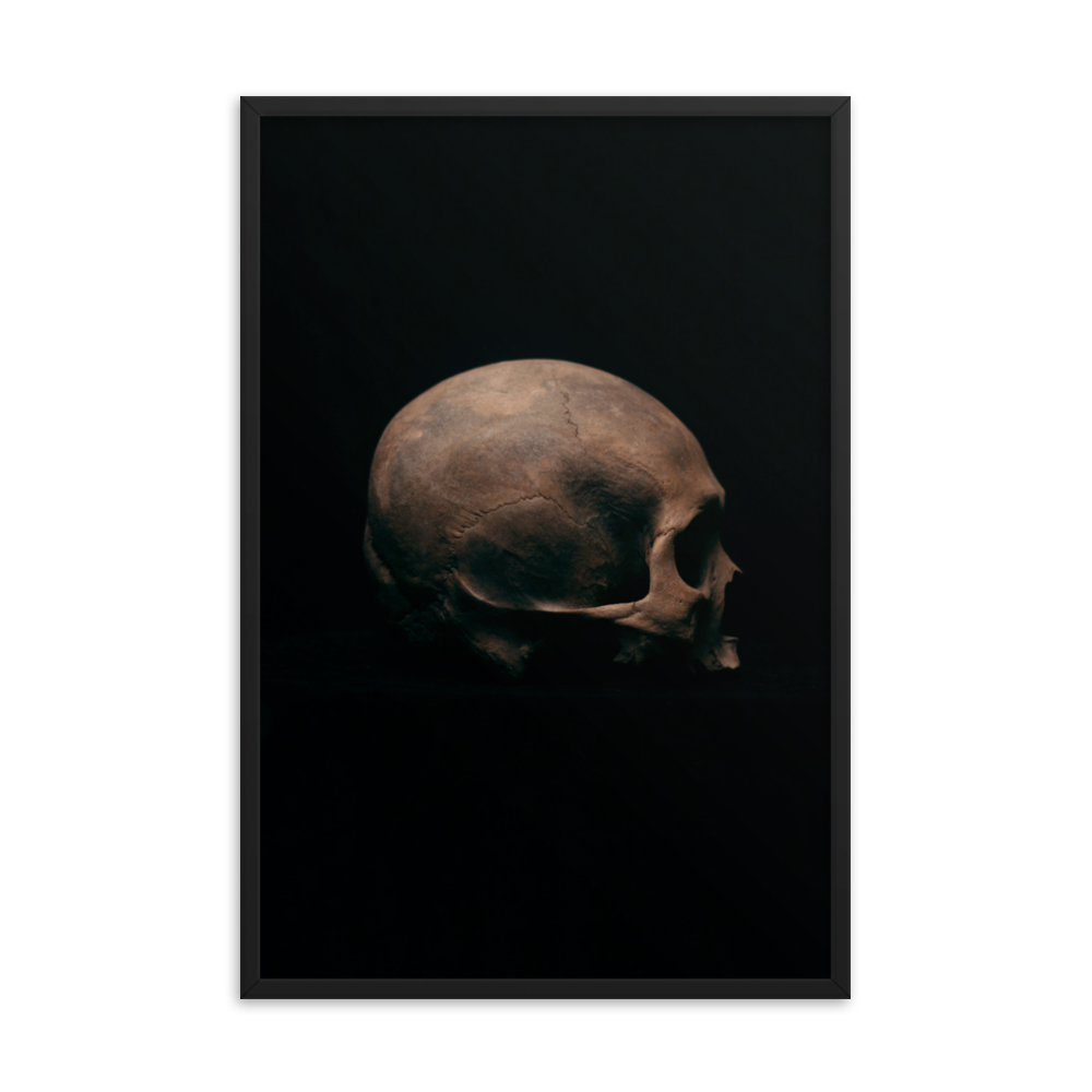 Side view right, real human skull photography - Framed poster