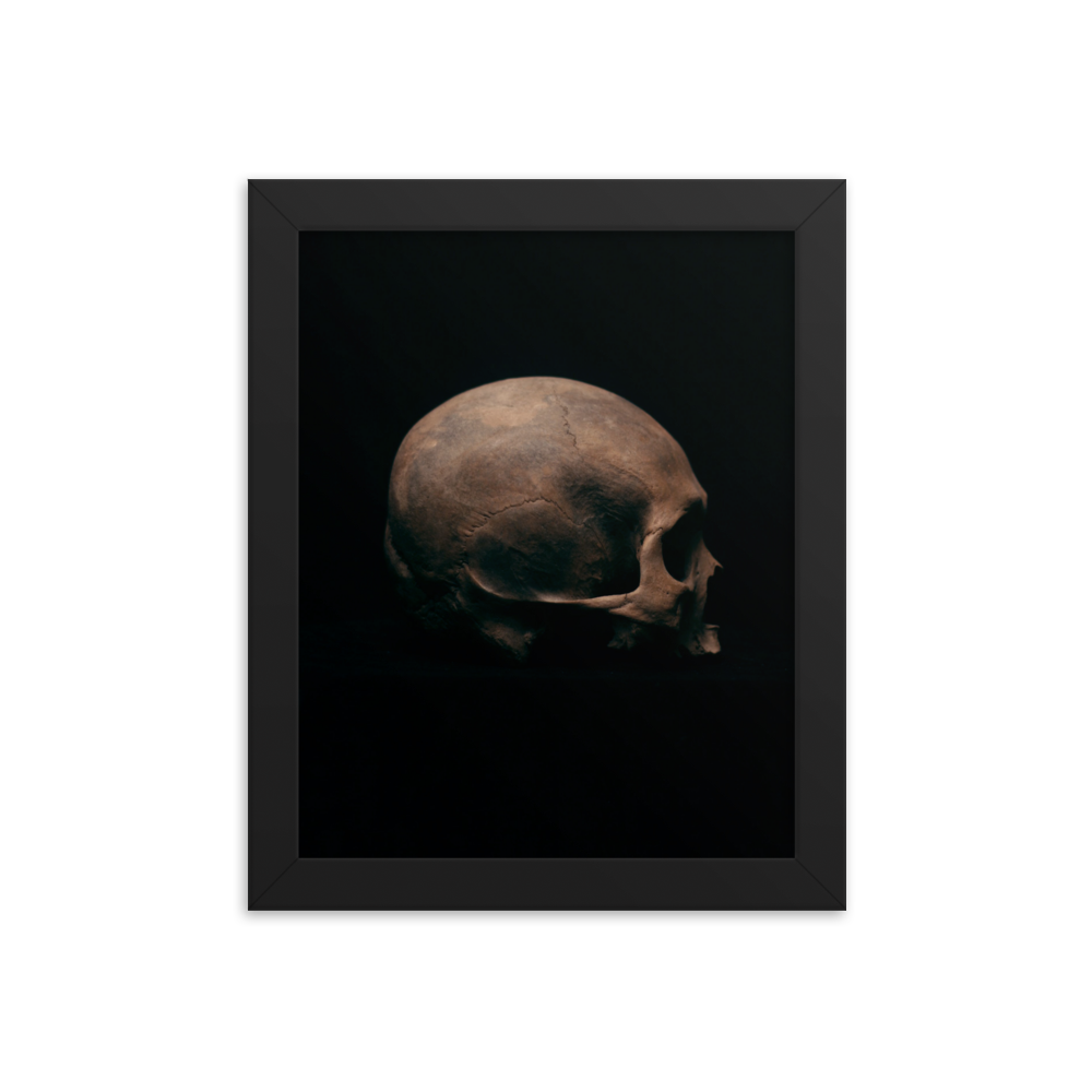 Side view right, real human skull photography - Framed poster