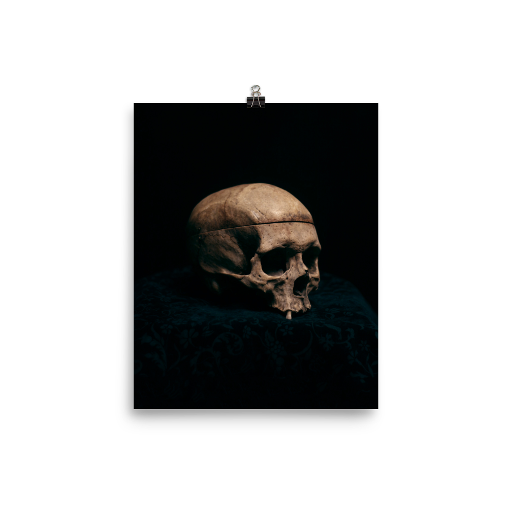 Still life skull, real human skull photography - Art print