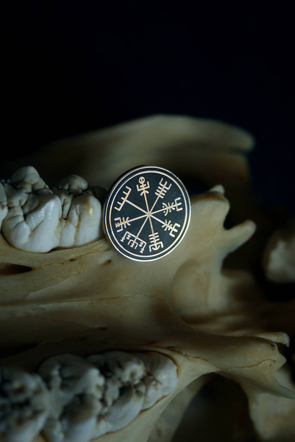 Vegvisir, Vegvísir icelandic talisman - PIN