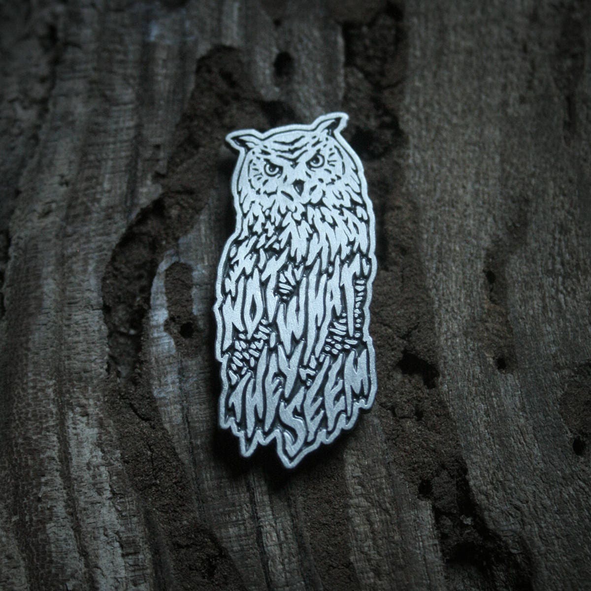 Owls not what they seem - PIN