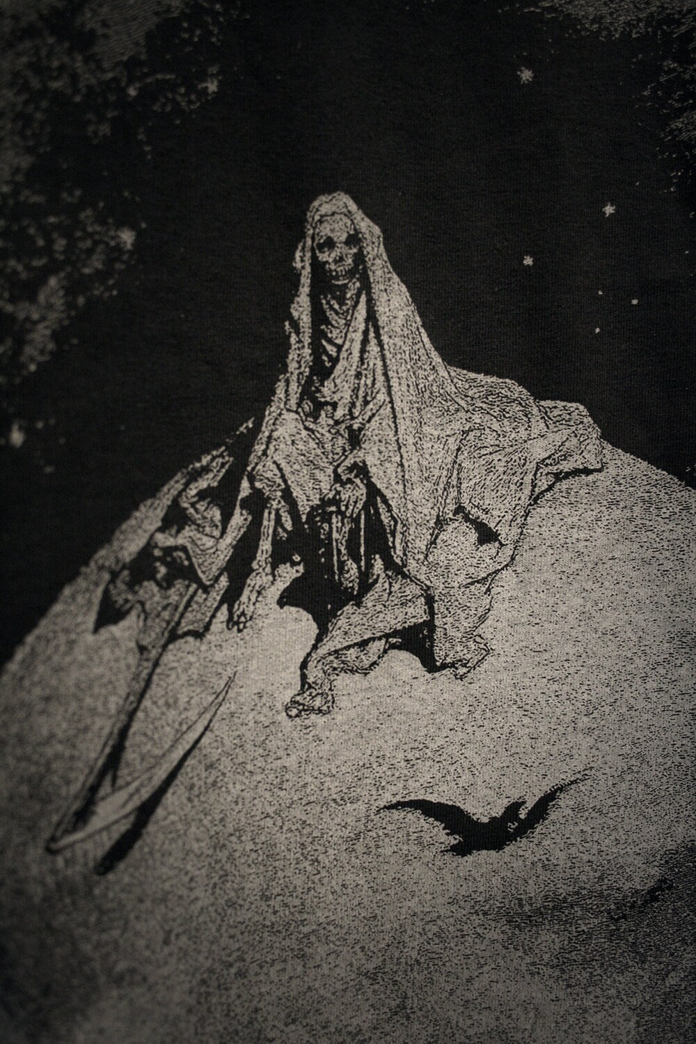 Death and the Raven, Gustave Dore illustration - T-shirt female fitted