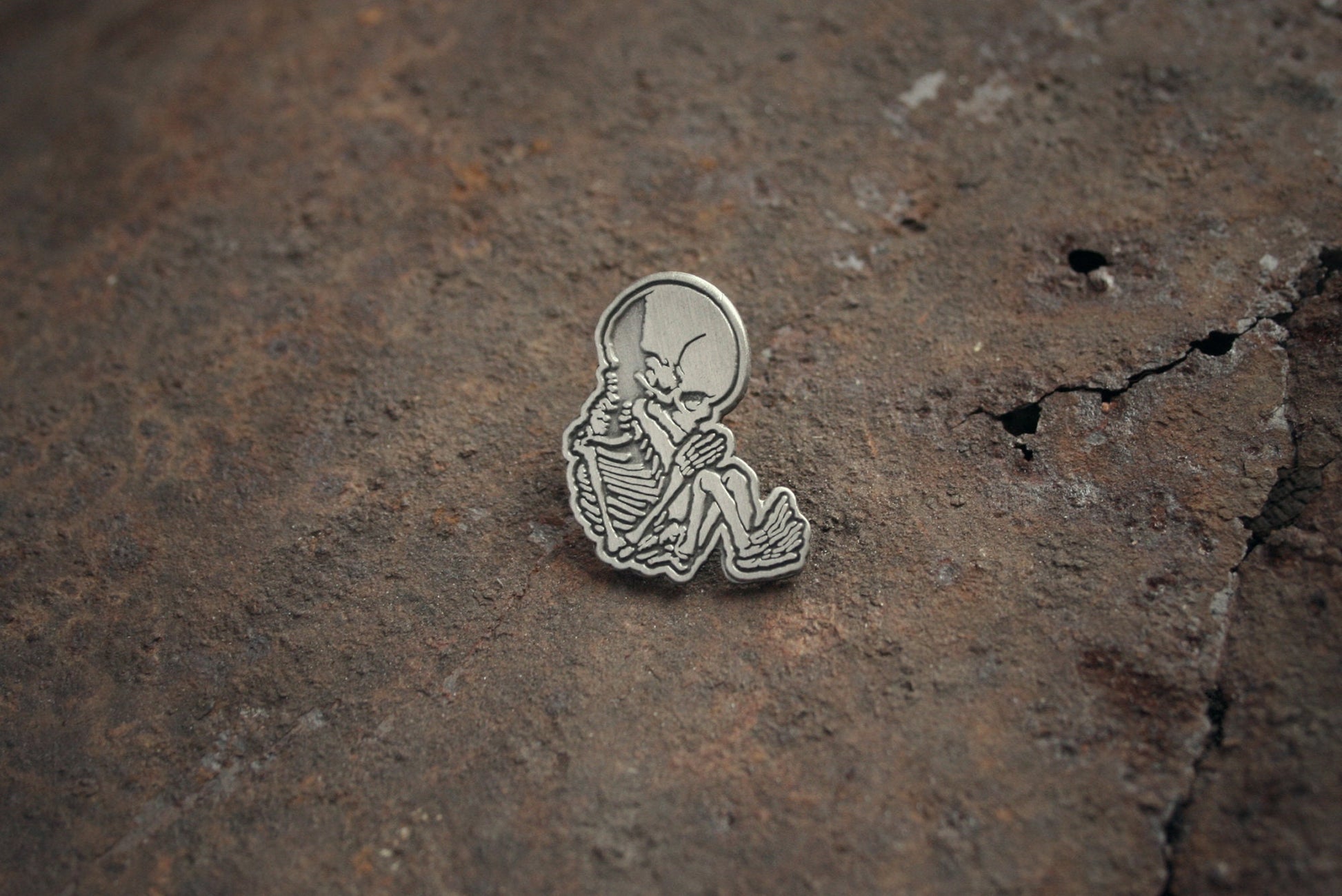 Fetal skeleton, foetus, fetus - PIN