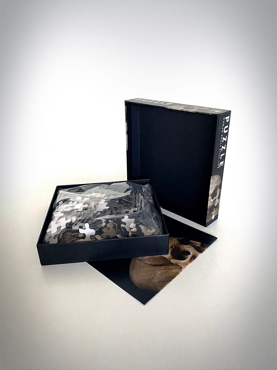Human skull photo, still life 01 - 300 pieces PUZZLE