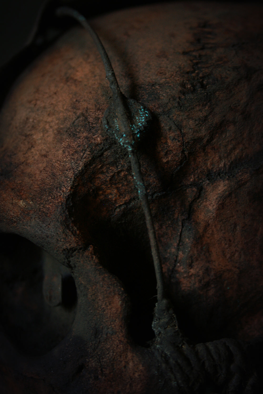 Skull mixed media sculpture "Sacred spirit guardian Rankh-ahrt-tep" - SCULPTURE