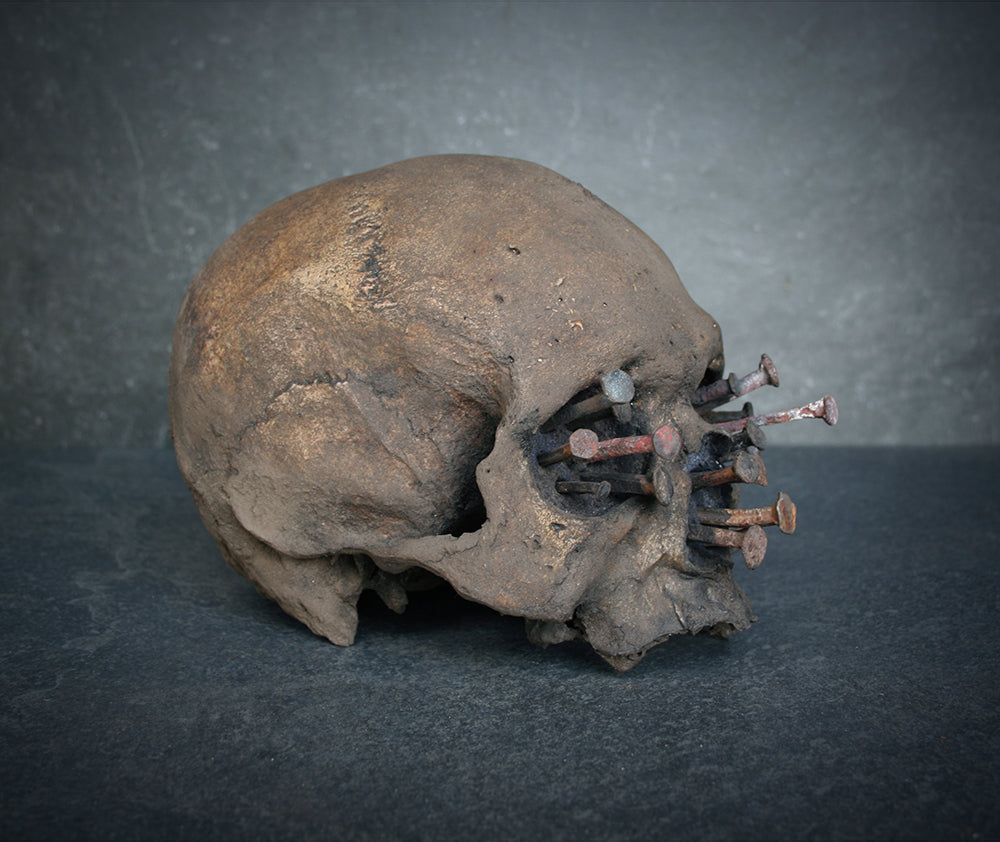 Skull mixed media sculpture "Iron-bound I" - SCULPTURE
