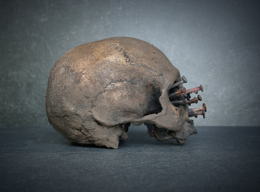 Skull mixed media sculpture "Iron-bound I" - SCULPTURE