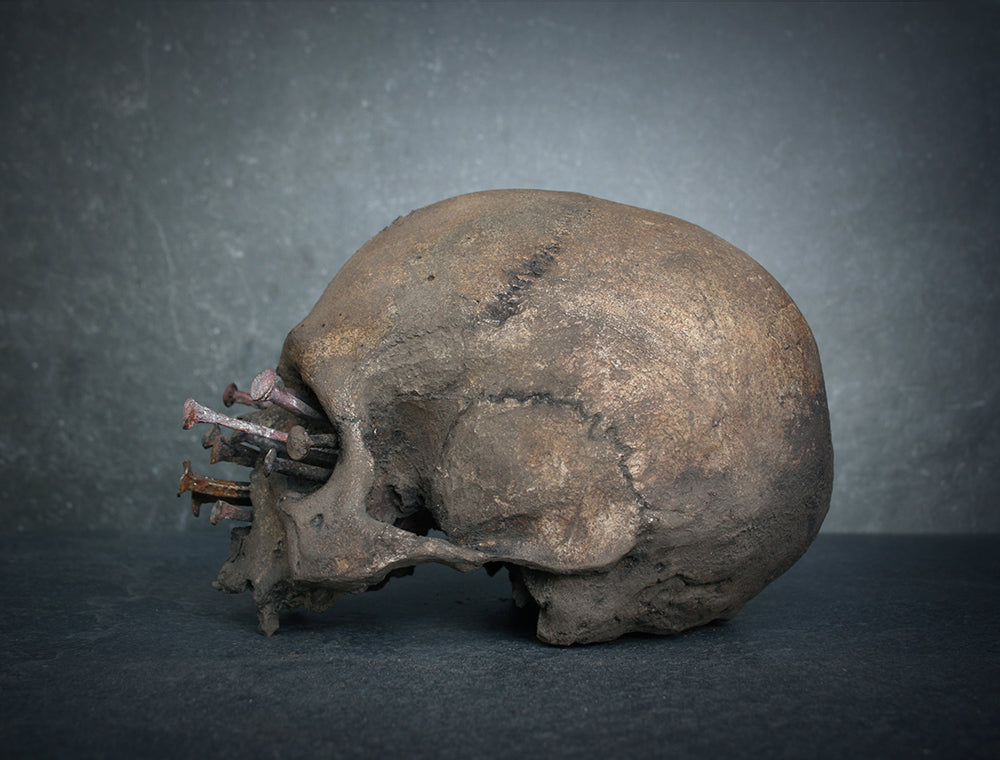 Skull mixed media sculpture "Iron-bound I" - SCULPTURE