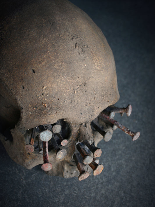 Skull mixed media sculpture "Iron-bound I" - SCULPTURE