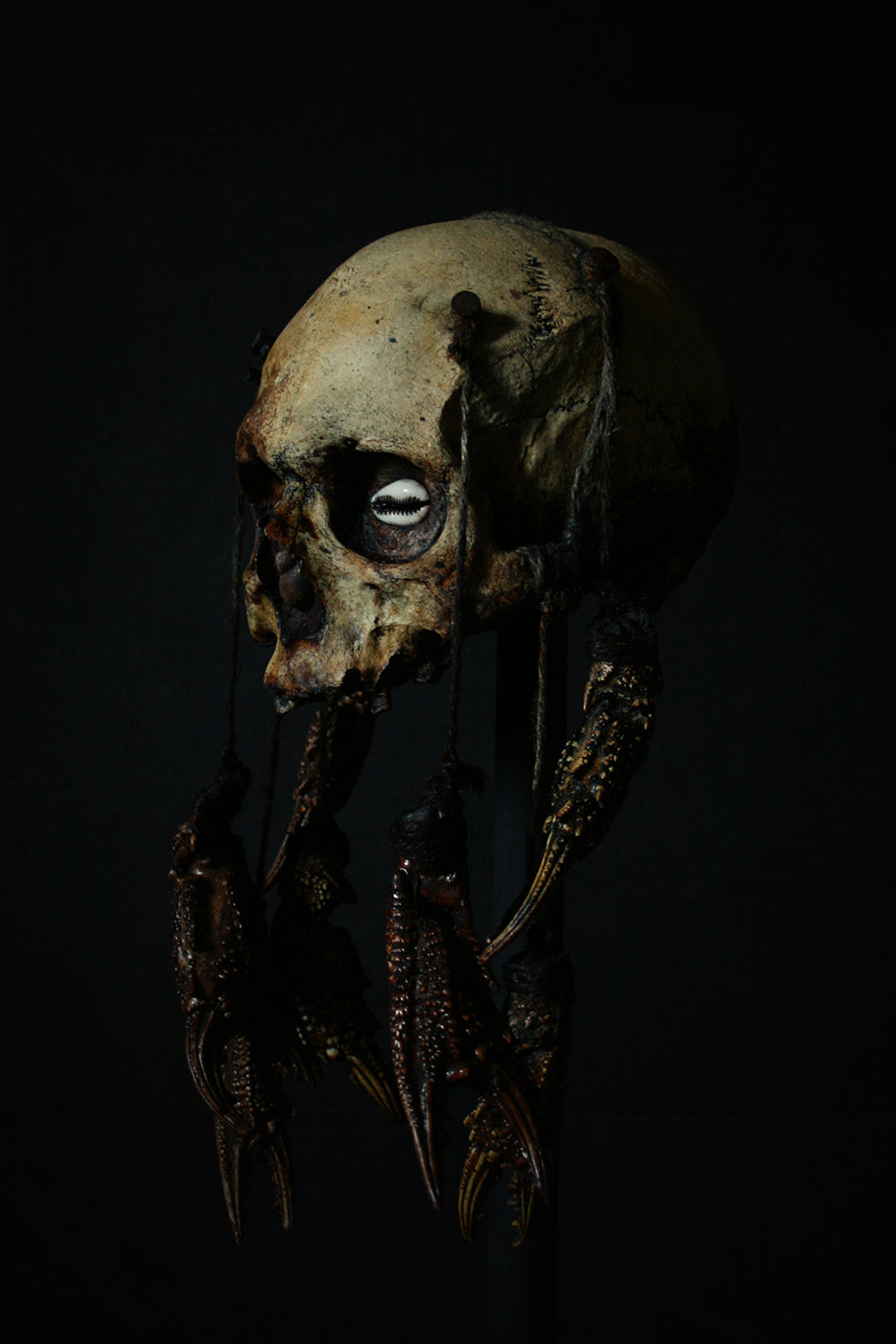 Skull mixed media sculpture "Crab God Natator" - SCULPTURE