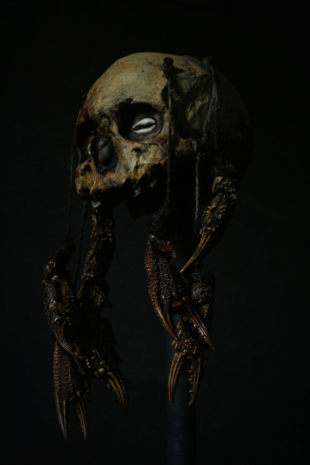 Skull mixed media sculpture "Crab God Natator" - SCULPTURE