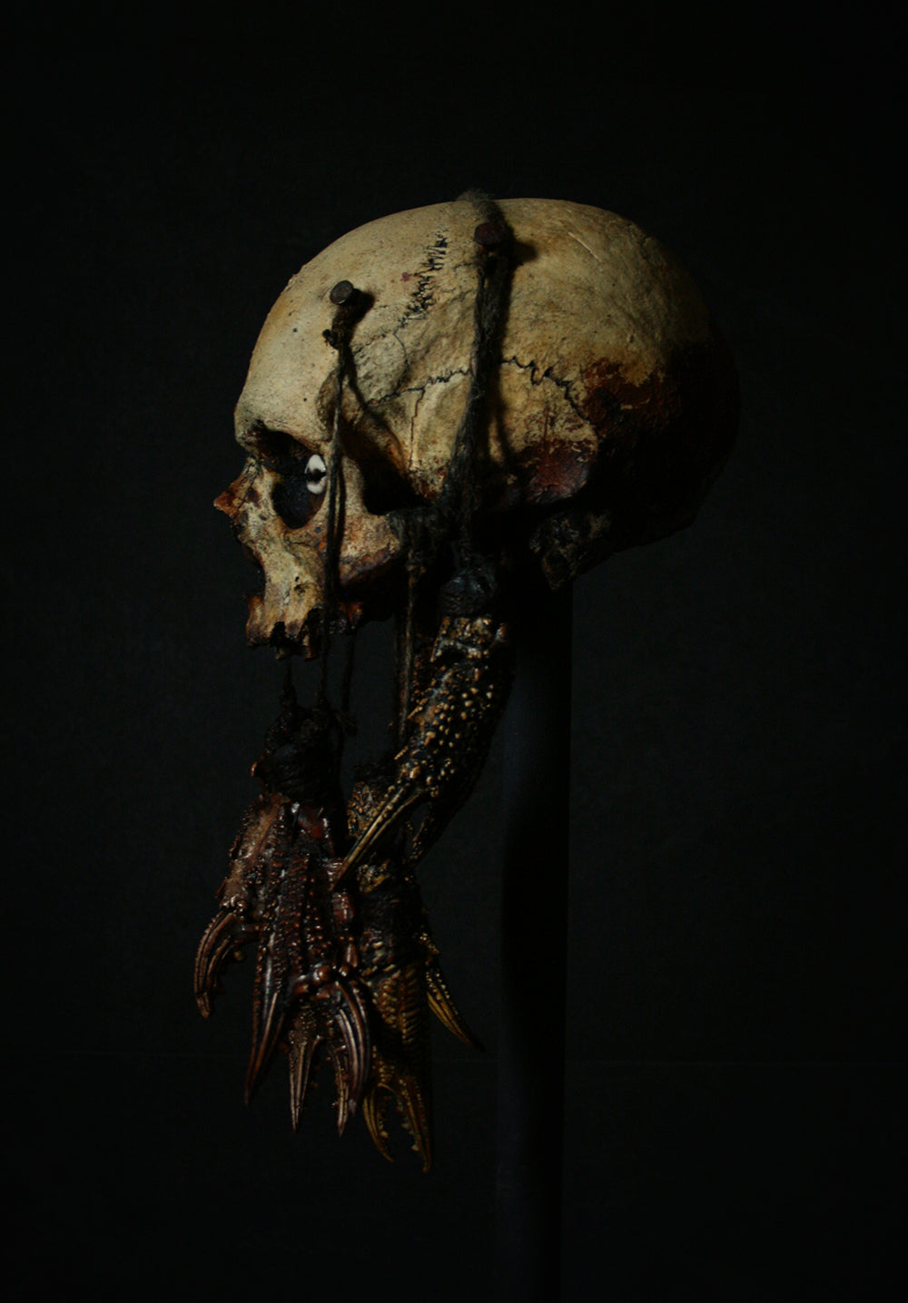 Skull mixed media sculpture "Crab God Natator" - SCULPTURE