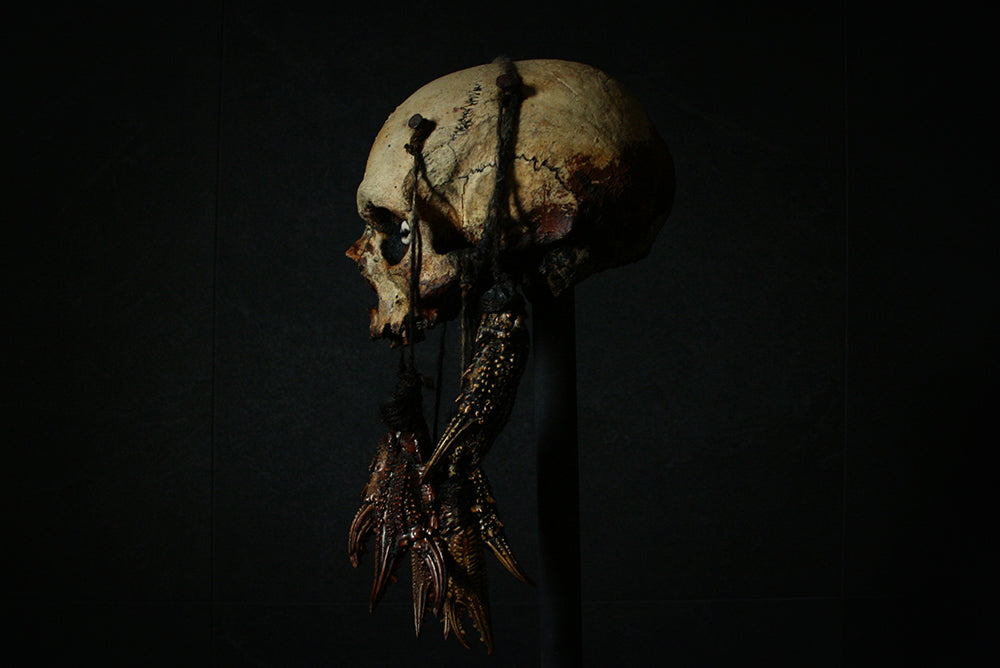 Skull mixed media sculpture "Crab God Natator" - SCULPTURE