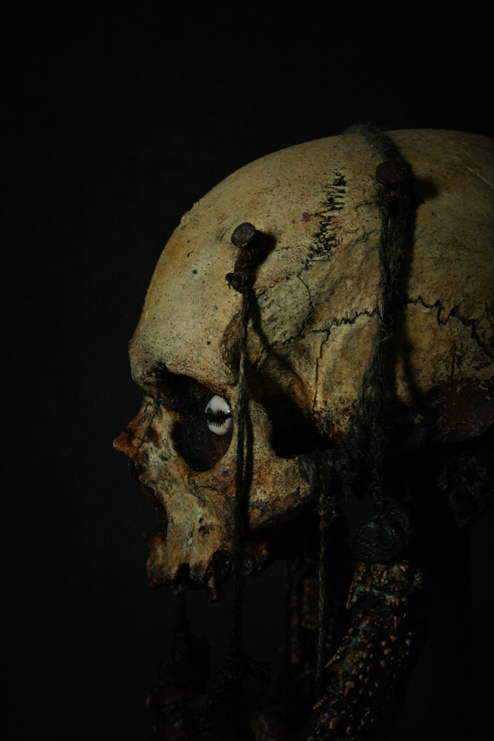 Skull mixed media sculpture "Crab God Natator" - SCULPTURE
