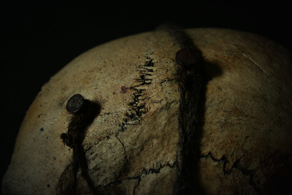 Skull mixed media sculpture "Crab God Natator" - SCULPTURE