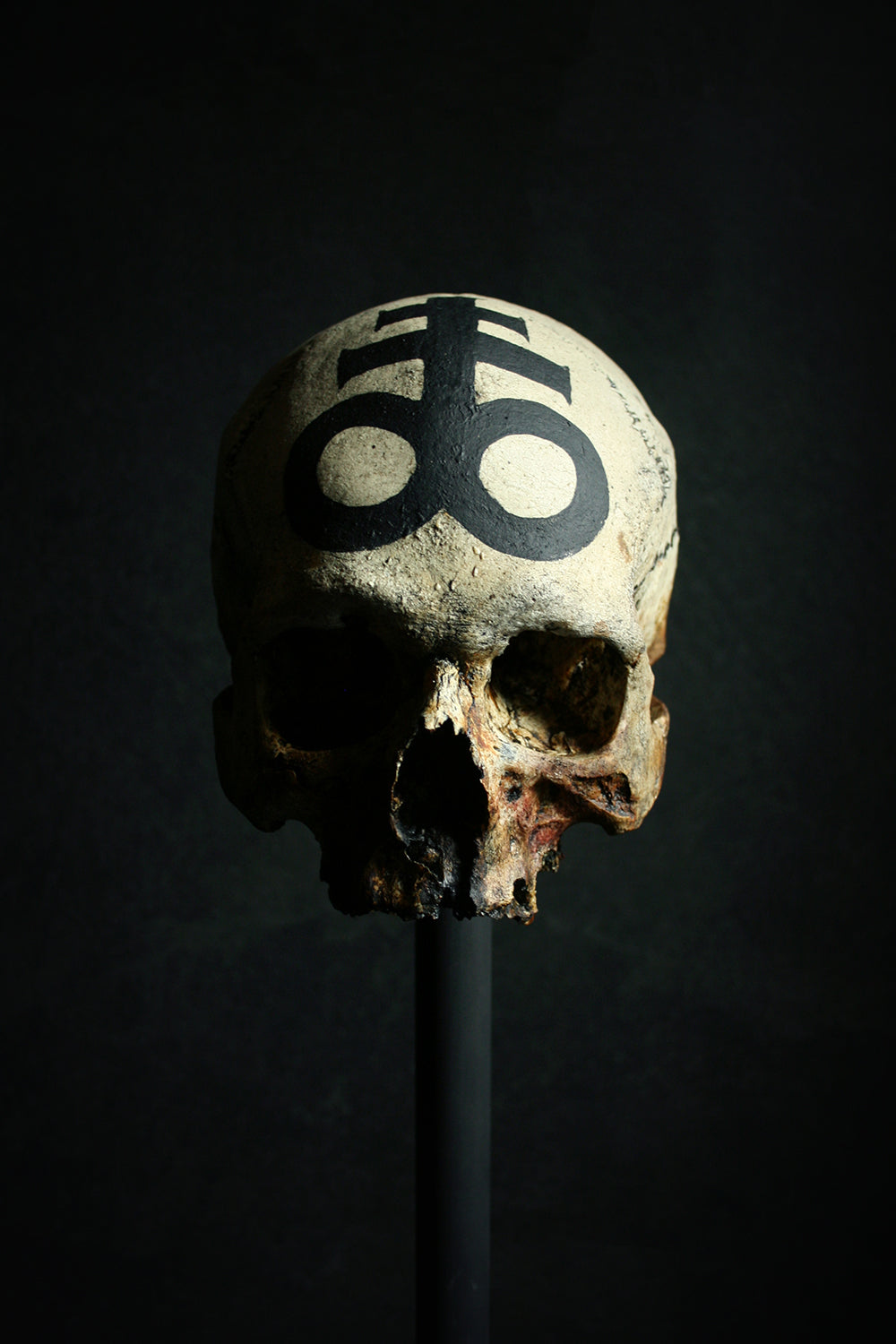 Skull mixed media sculpture "Leviathan Cross Skull" - SCULPTURE