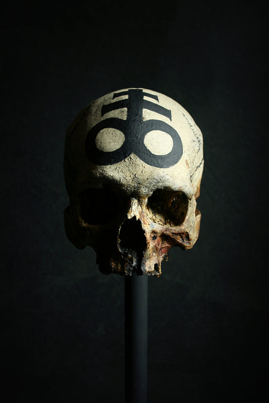 Skull mixed media sculpture "Leviathan Cross Skull" - SCULPTURE
