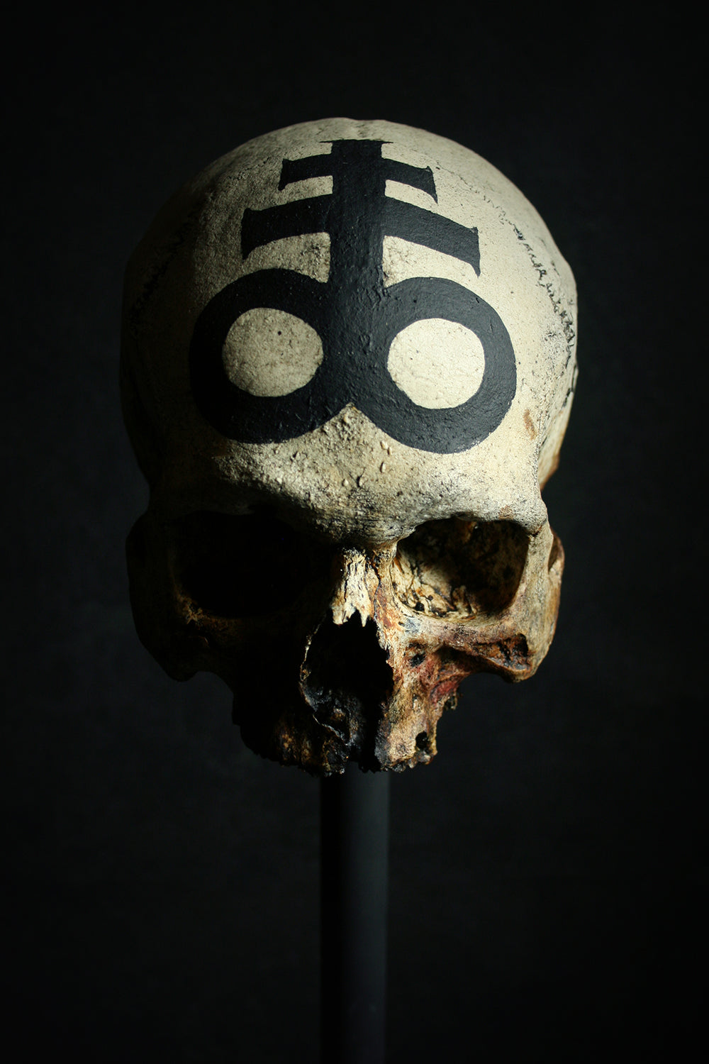 Skull mixed media sculpture "Leviathan Cross Skull" - SCULPTURE
