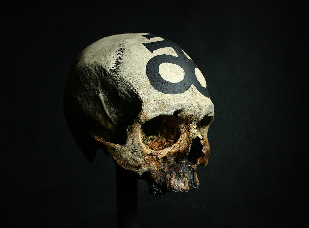 Skull mixed media sculpture "Leviathan Cross Skull" - SCULPTURE