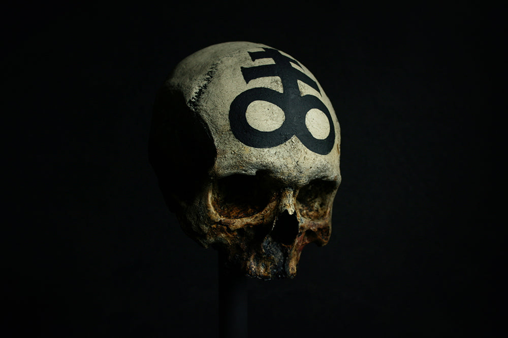 Skull mixed media sculpture "Leviathan Cross Skull" - SCULPTURE