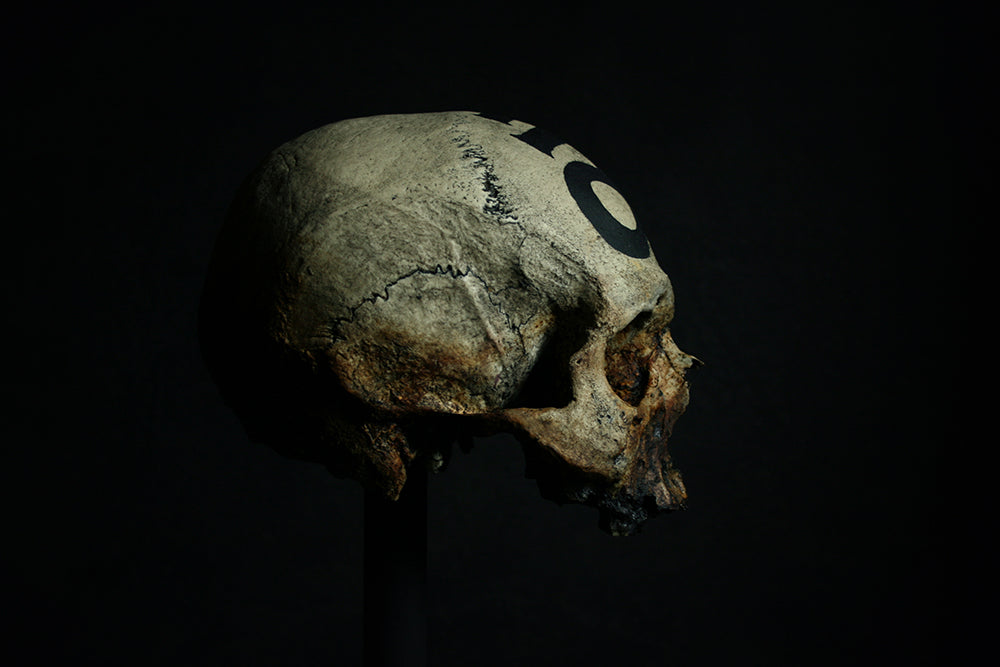 Skull mixed media sculpture "Leviathan Cross Skull" - SCULPTURE