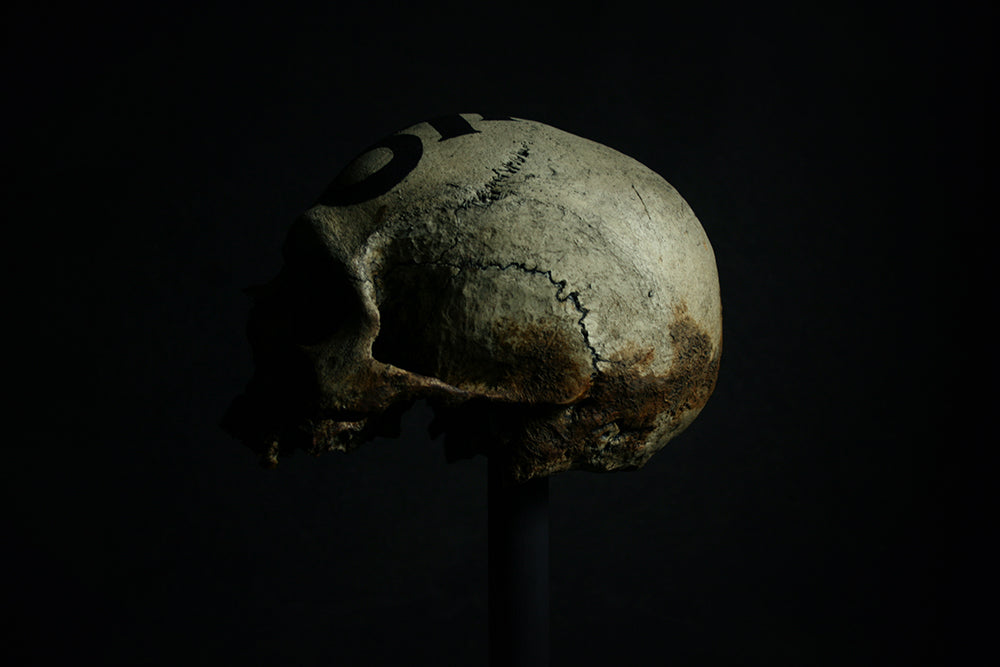 Skull mixed media sculpture "Leviathan Cross Skull" - SCULPTURE