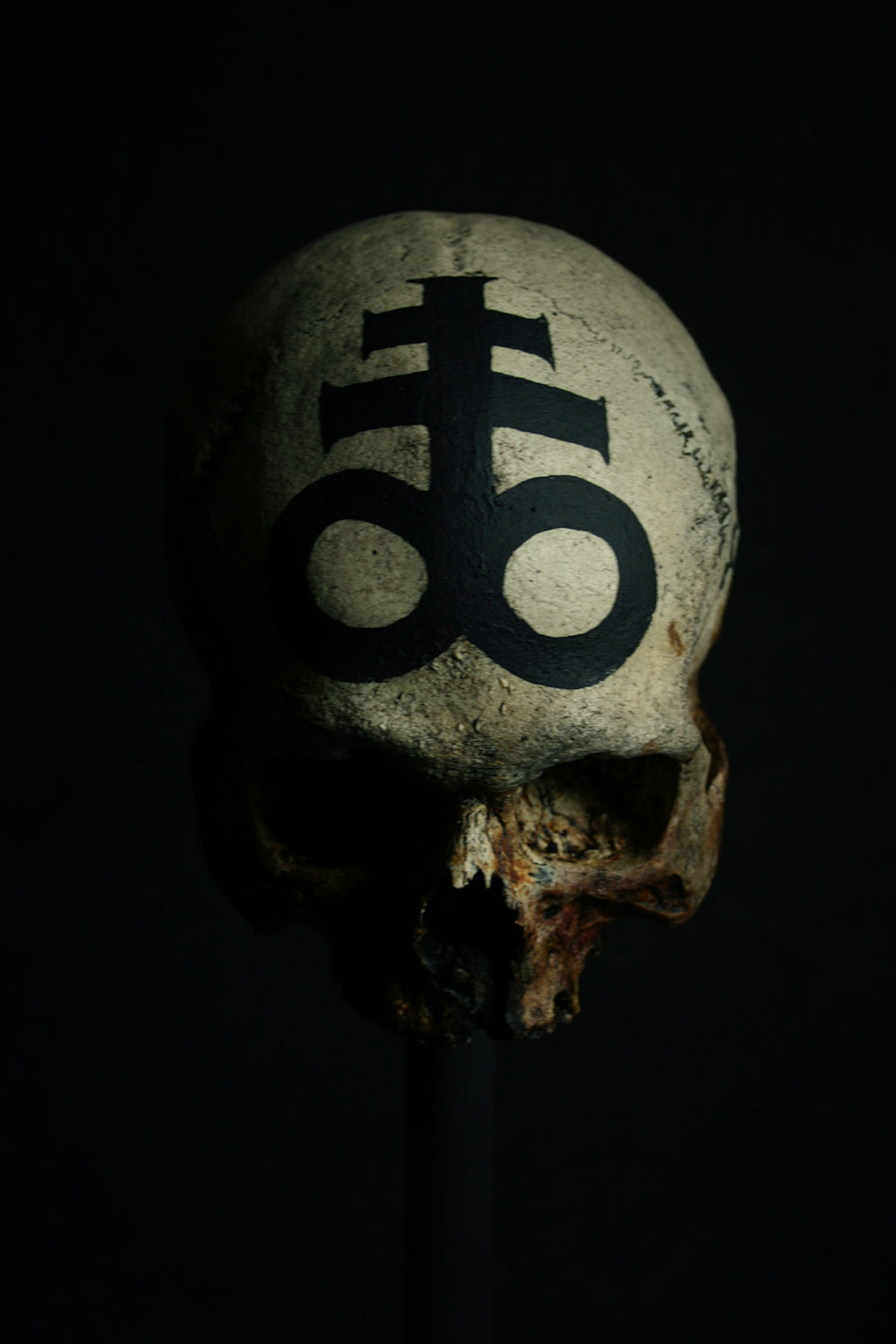 Skull mixed media sculpture "Leviathan Cross Skull" - SCULPTURE