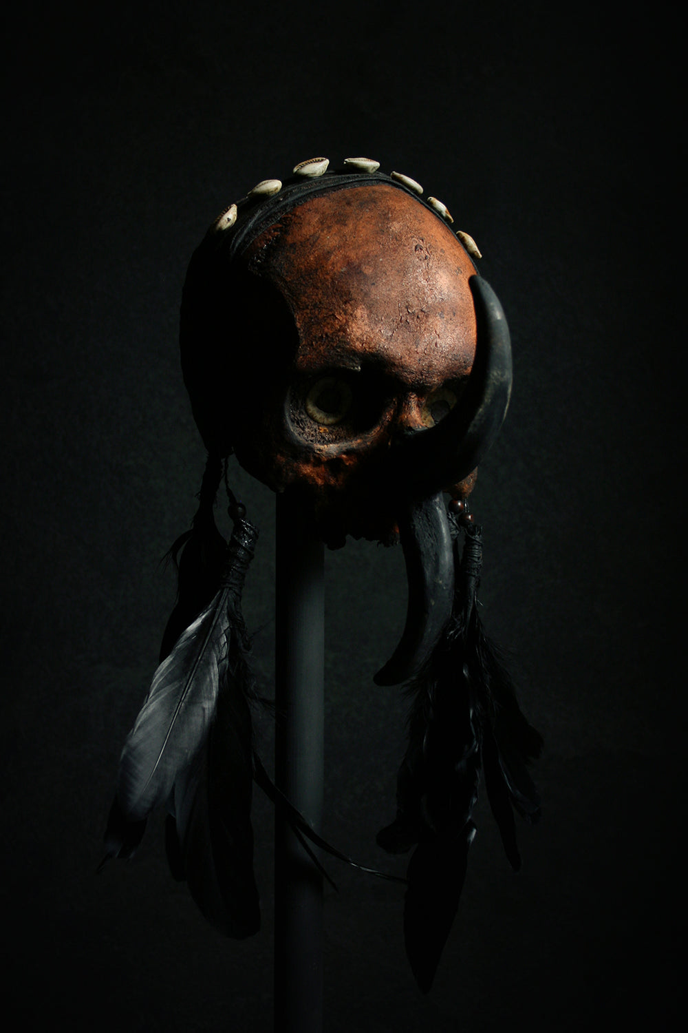 Skull mixed media sculpture "Double beak chieftan Akkar-noh" - SCULPTURE