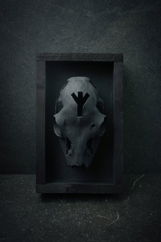 Sculpture framed skull carved ALGIZ - mixed media sculpture