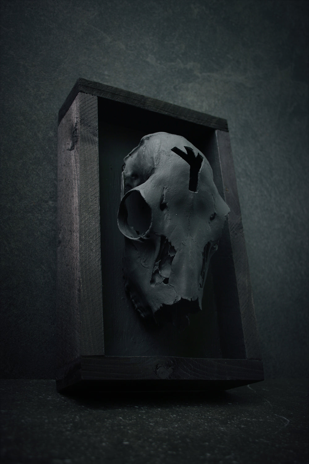 Sculpture framed skull carved ALGIZ - mixed media sculpture