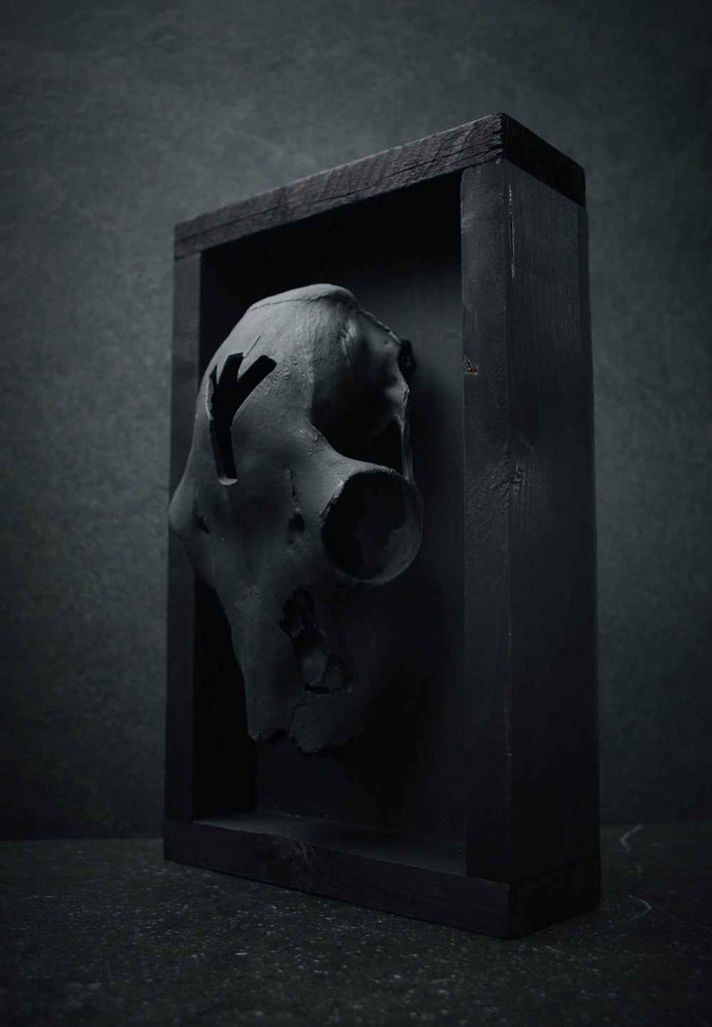 Sculpture framed skull carved ALGIZ - mixed media sculpture