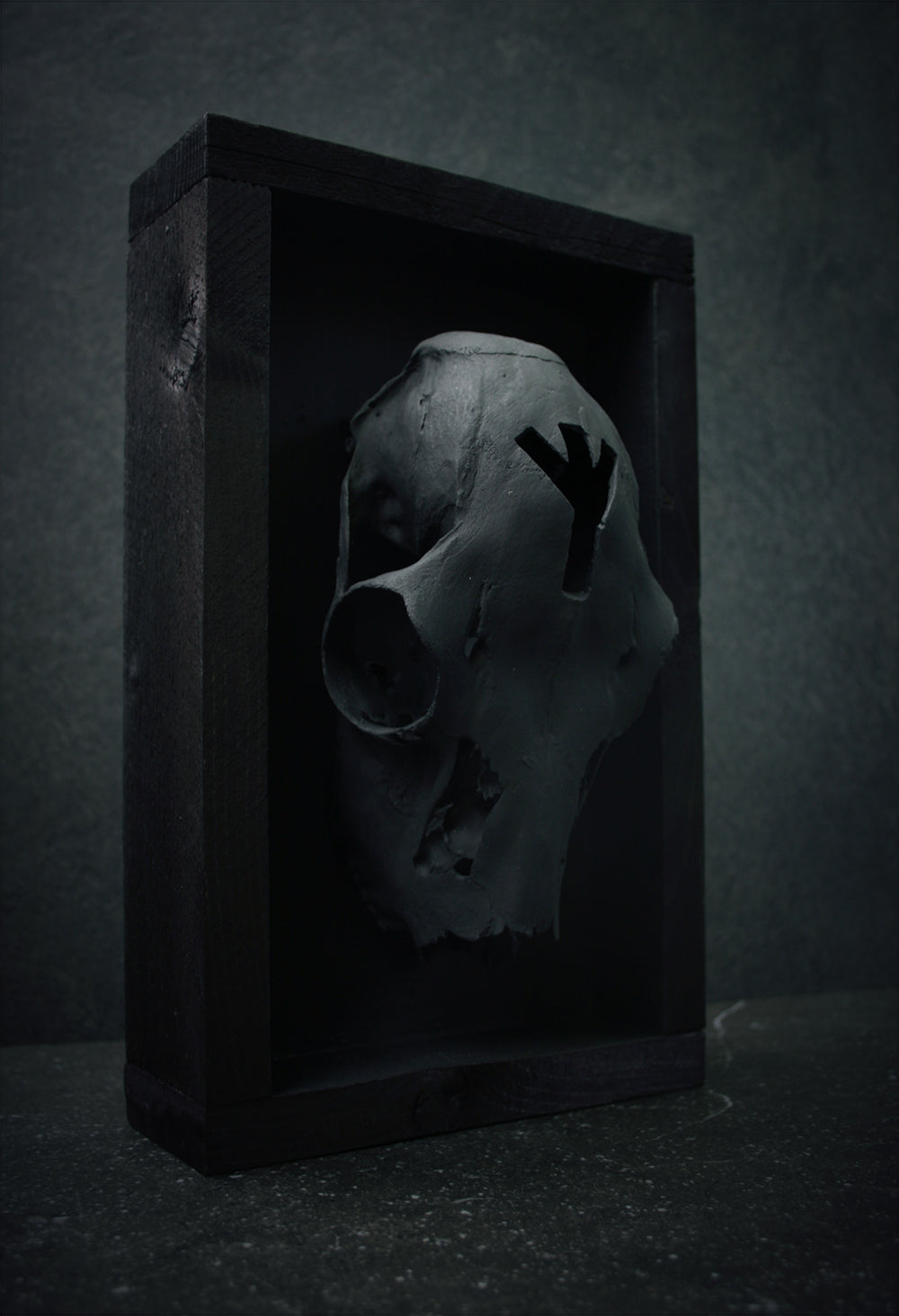 Sculpture framed skull carved ALGIZ - mixed media sculpture