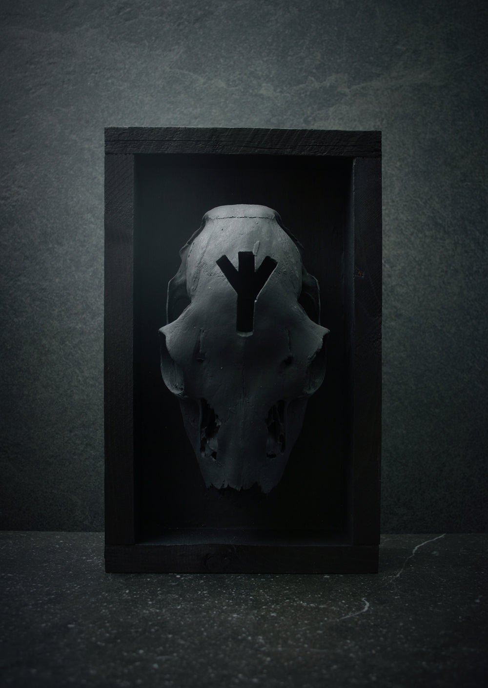 Sculpture framed skull carved ALGIZ - mixed media sculpture