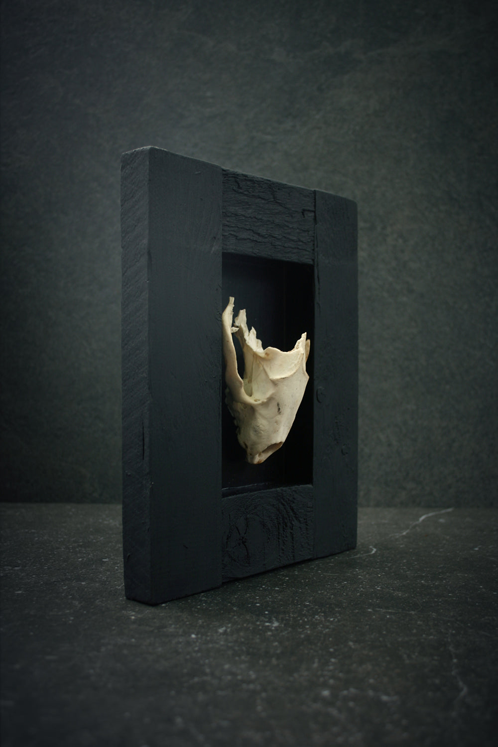 Sculpture framed skull "Fragments 02" - mixed media sculpture