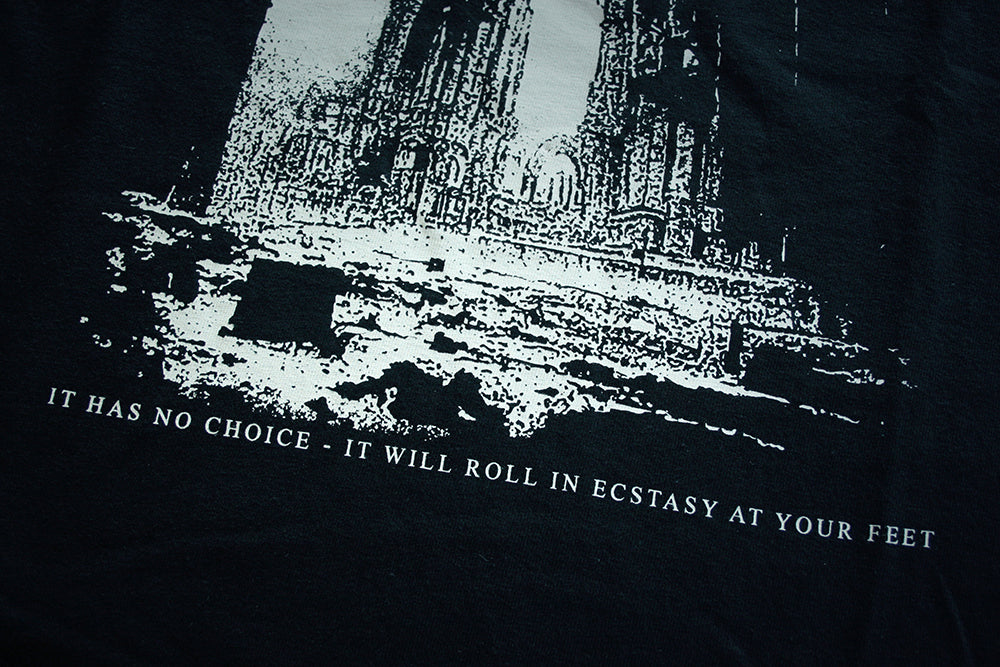 Desiderii Marginis "The world will offer itself", official merchandise - T-shirt